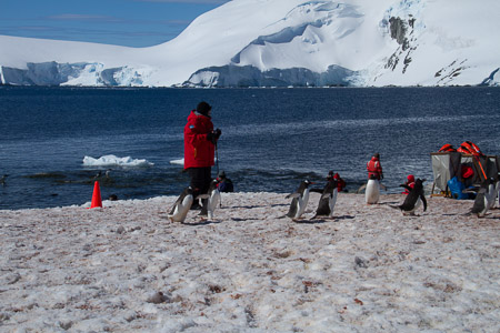 AntL_2012-5103